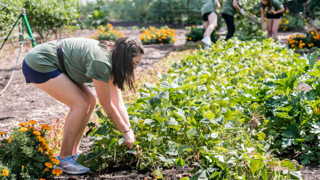 BITS is back: The student experience of Bulldogs Involved Through Service