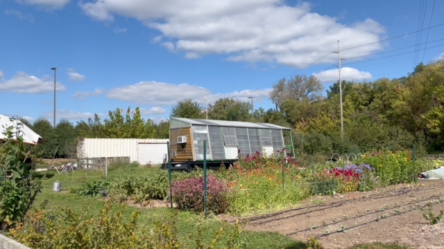 CUES Farm at Butler grows for a purpose