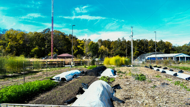 Graduating green: Sustainability on campus