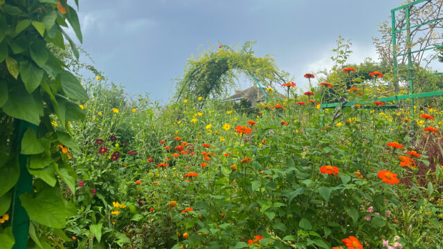 A study abroad semester in photos