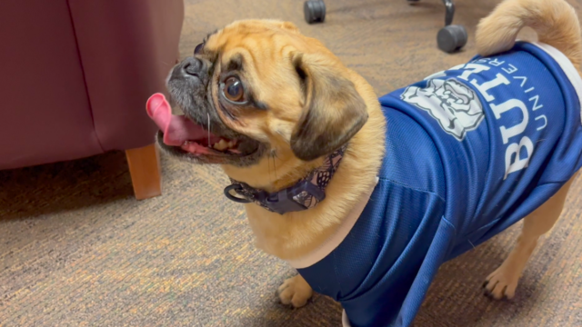 Trixie Tuesday with a Valentine’s Twist