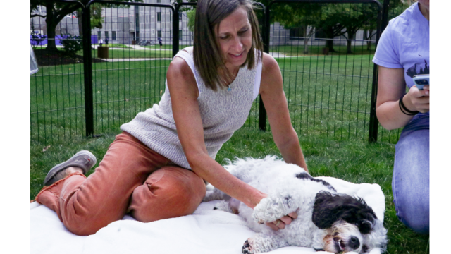 See you later, Scooter!