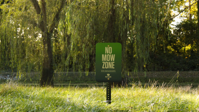 No Mow Zones add to initiative to ‘re-wild’ campus