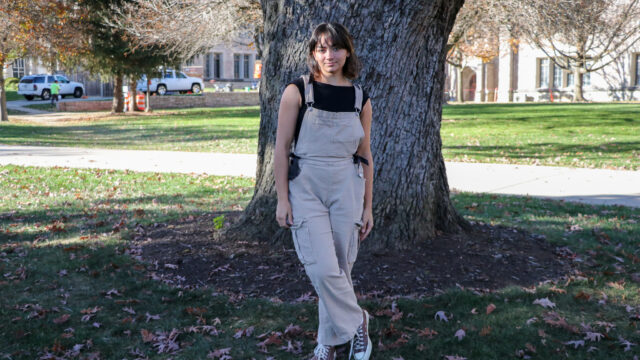 Fits for the forecast