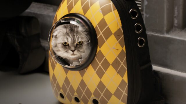 Film Fanatics: ‘Argylle’ is almost good