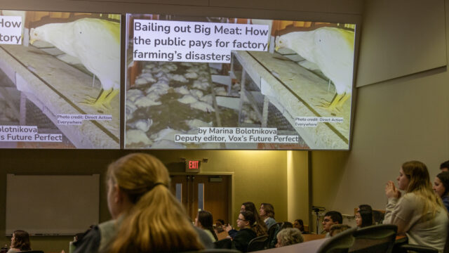 Behind barn doors: Factory farming’s lethal secrets