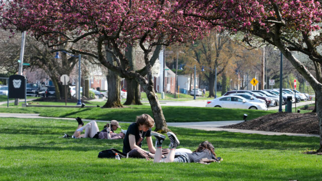 Spring into new activities