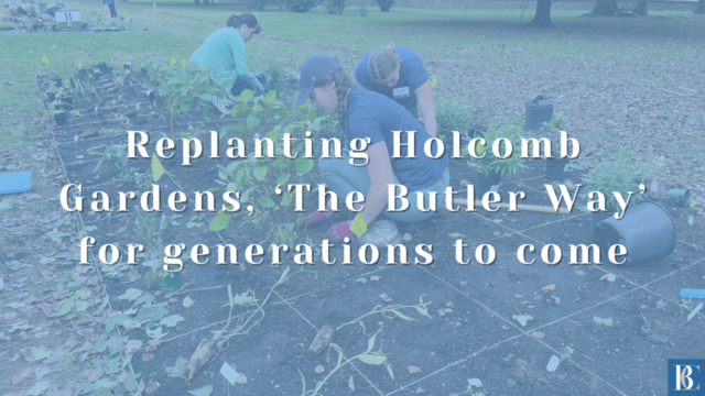 Replanting Holcomb Gardens, ‘The Butler Way’ for generations to come