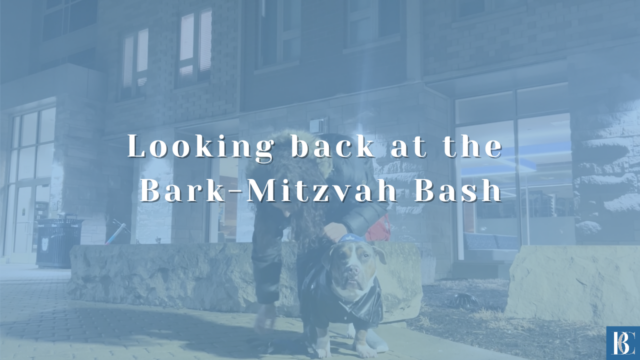 Looking back at the Bark-Mitzvah Bash