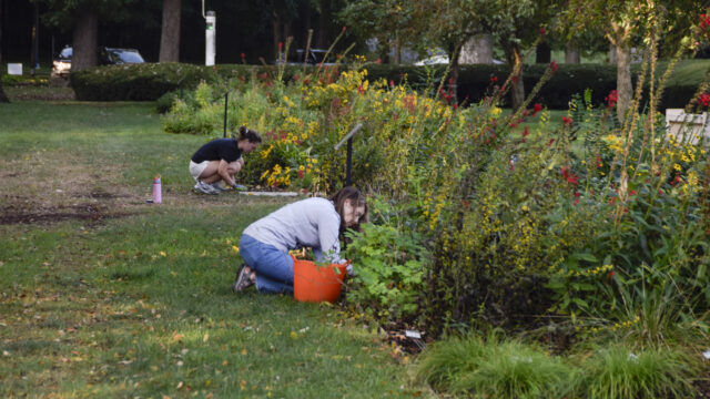 Planting connections at Holcomb Gardens