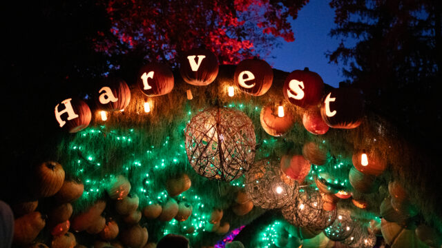 Behind the experience: Newfields’ Harvest Nights