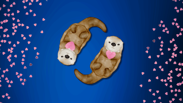 More than romance: The many forms love takes