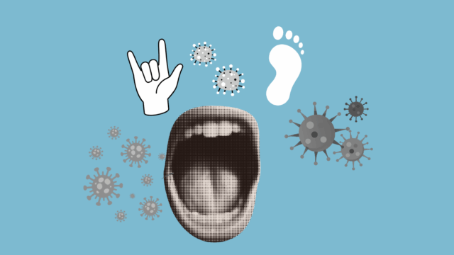 The Scarlet Letters: HFM