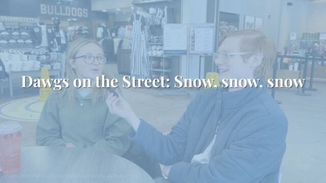 Dawgs on the Street: Snow, snow, snow