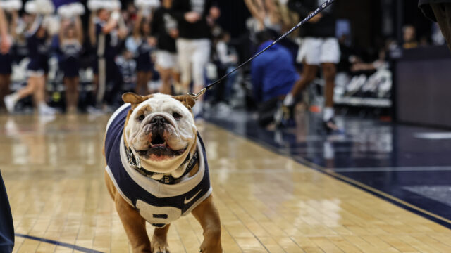 Blue IV steps away from public appearances, search beginning for replacement