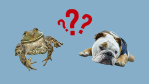 PETA advocates for the retirement of Butler’s live mascot program