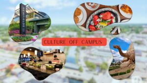 Culture off campus: Indianapolis’ best